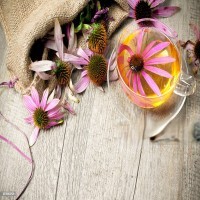 Echinacea Tea Picture